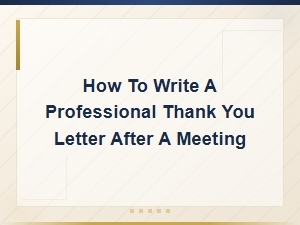 Professional Thank You Letter After a Meeting – Sample Templates and Writing Guide